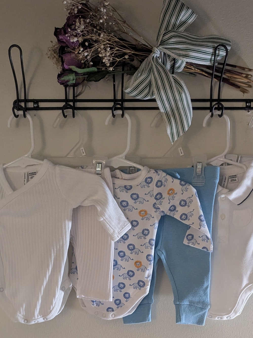 6 Piece Janie and Jack Blue & White Lion Print Baby Matching Set Size Newborn!